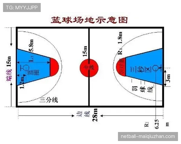 深入解析合理冲撞区规则的判定标准与适用范围